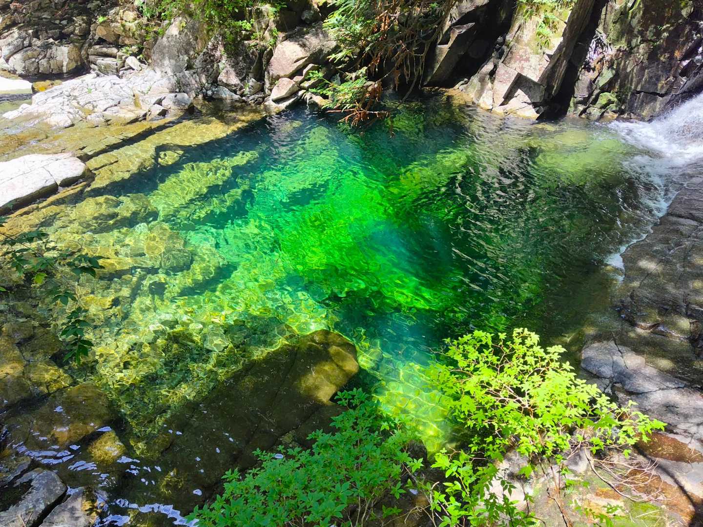 ここが丸渕かなぁ✨
ここの水が光でキラキラしてすごくキレイでした😆
滝の写真はダイナミックに撮れなかったので、これをカバー写真に採用～😊♪♪♪