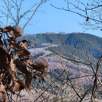 鷹取山山頂から陣馬山を望む