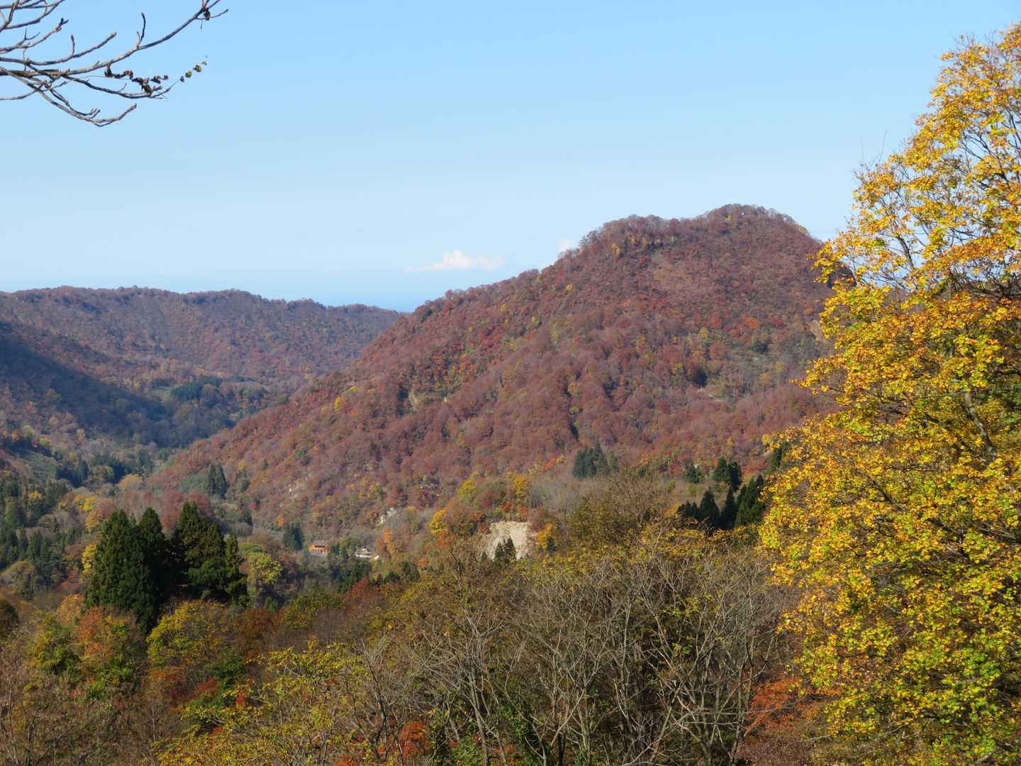 登山口の吉ヶ平山荘と猿ヶ城。
この登山道も猿は多かった。