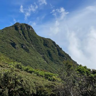 紅葉の時期に登るので緑の大船山は初めて