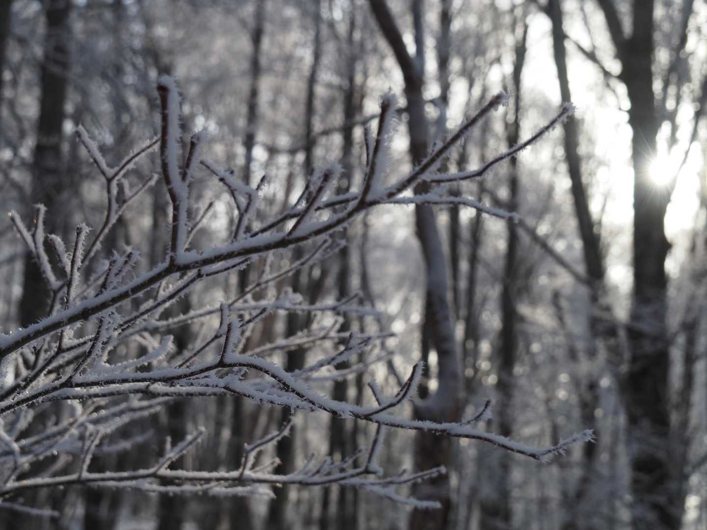 日が出てきたのでもう少ししたら落ちちゃうかな