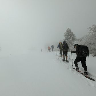 避難小屋手前の笹地帯はガスが出て白一色