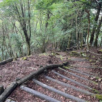 下山開始。山頂直下の下山道はよく整備された階段式。