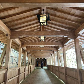 15.ドキドキ

次は、目標 ③ 「若宮社」へ続く廊下です。
ここをしっかりと参拝する為に、英会話仲間とは先立って登ってきました。