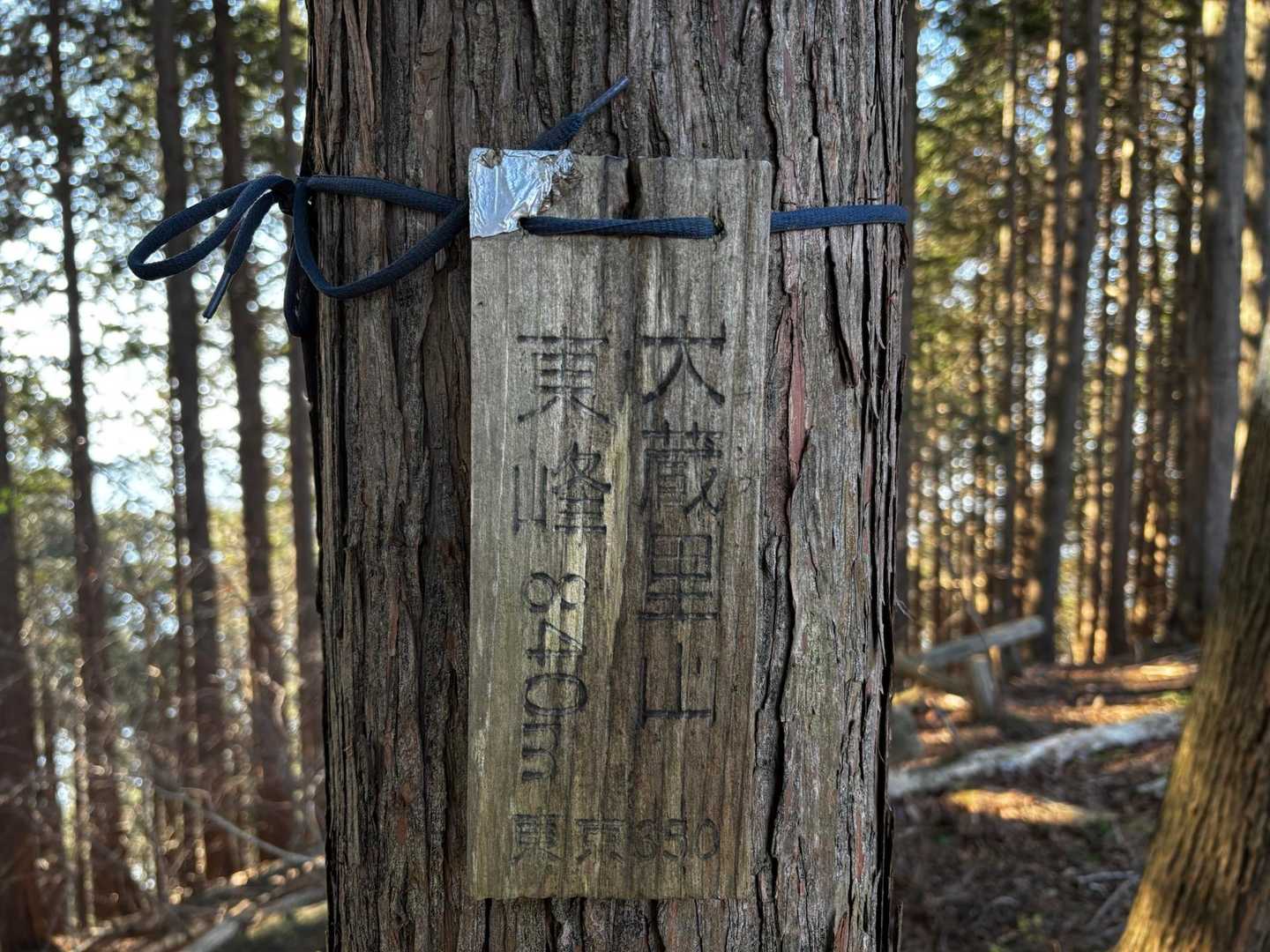 ６つ目
ベンチ、展望なし