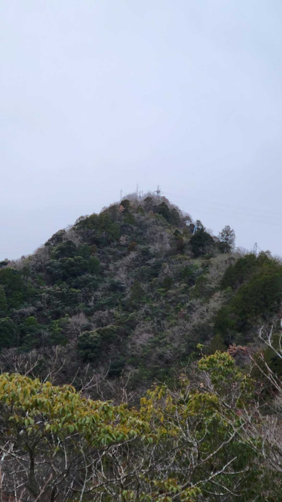 しかし、風強いし寒い。