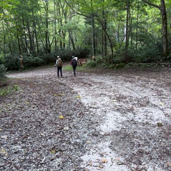 笠新道入口から新穂高温泉まで林道歩き6㎞