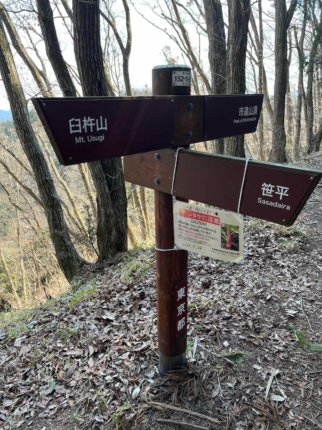 市道山分岐地点、笹平へ