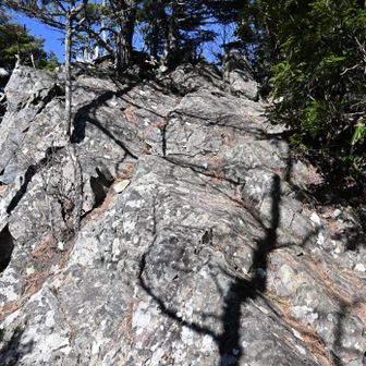 ちょっと岩もあり