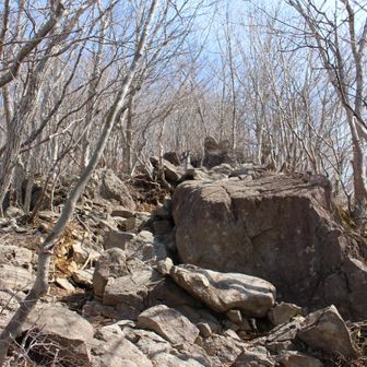 雪なしの大岩。