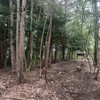 もう頂上が見えてきました。
