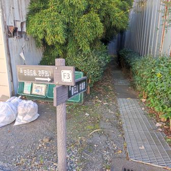 善正山入口です。狭い😅