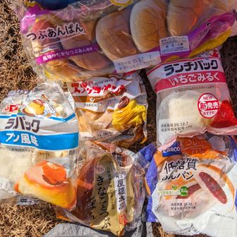 ここでお昼ゴハン！  持ってきたパンは、まさかの全部甘かった  かなりの甘さ😭