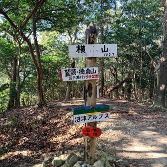 横山山頂
急登がヤバい💦