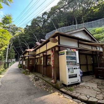 紅葉の茶屋