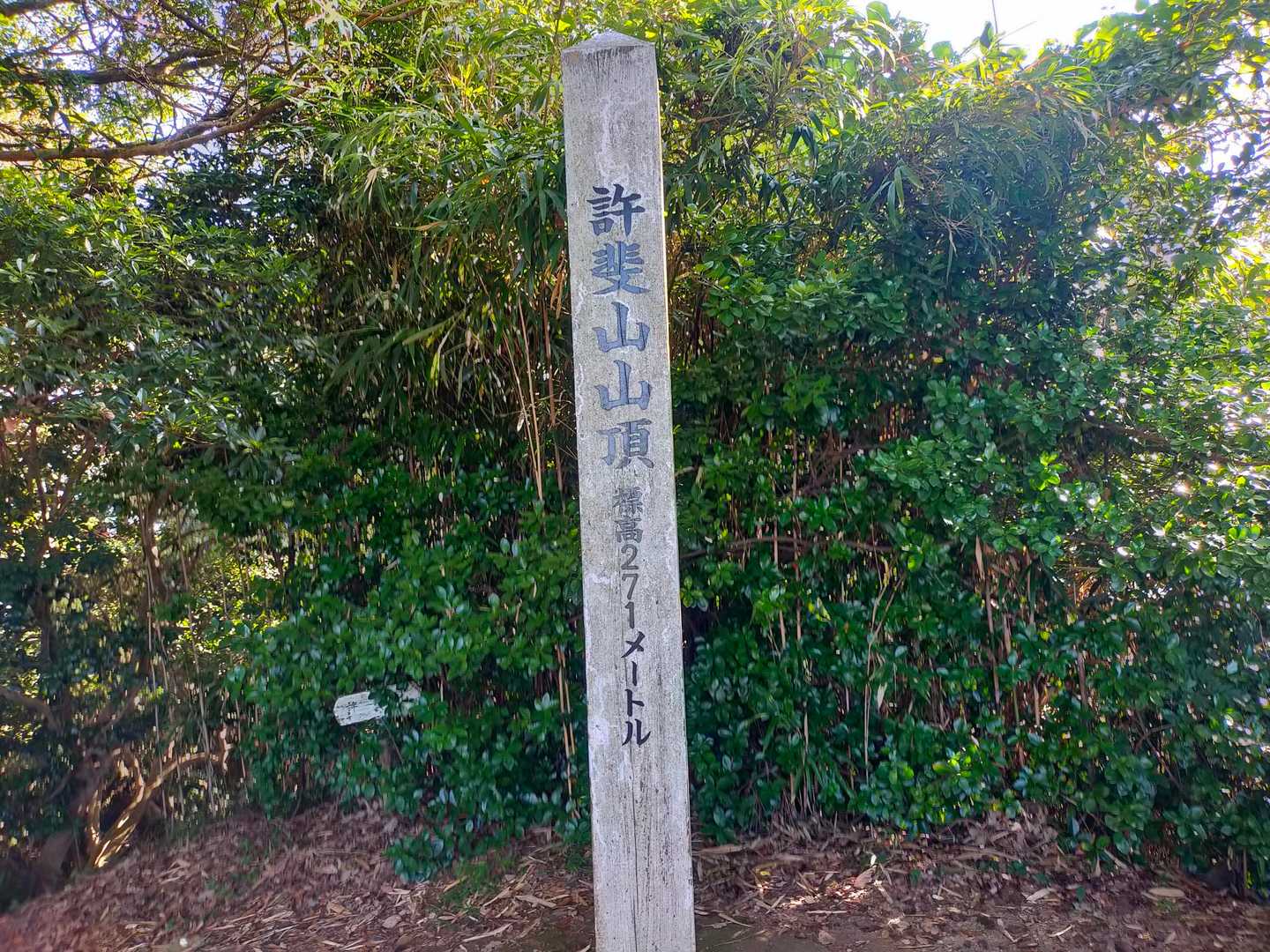 許斐山 往復コースの写真