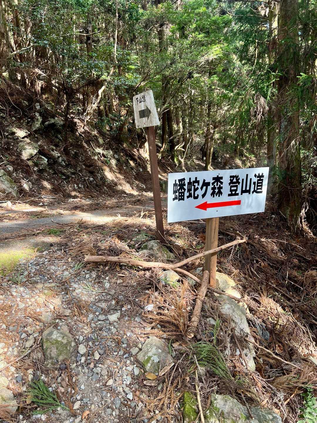 はい、また林道に出る👋
