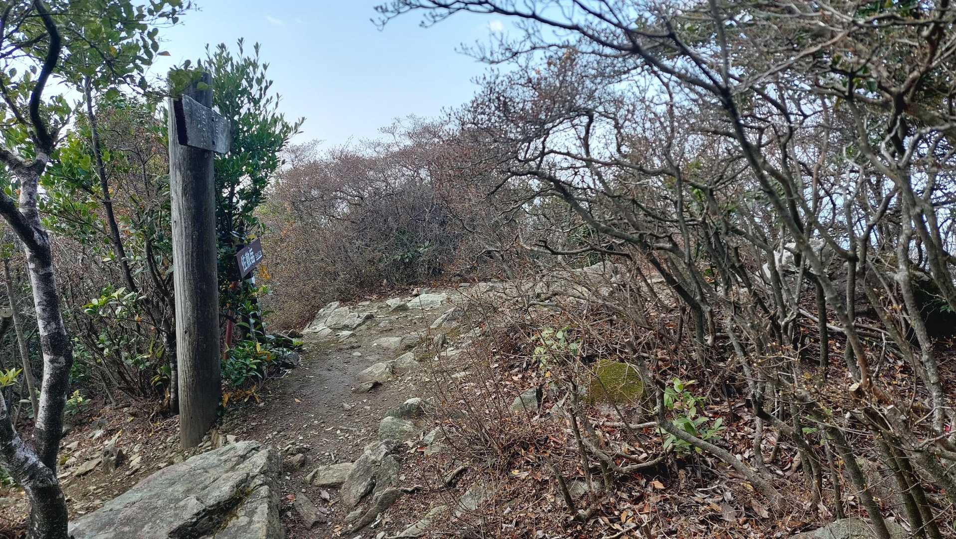 佐敷岳山頂着いた👀