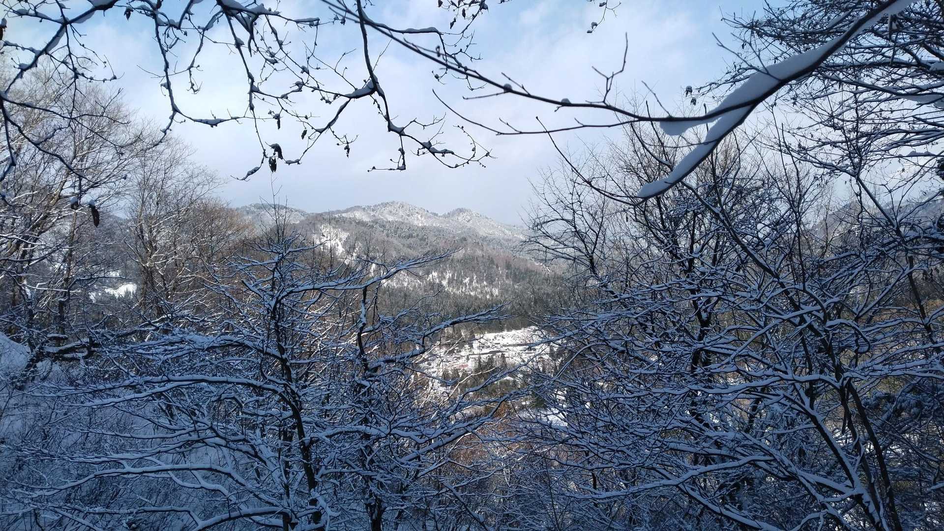 なんと綺麗な