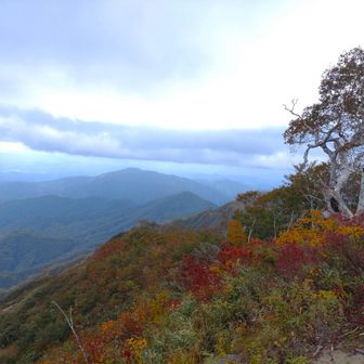 暗い雲からポツポツと落ちてきた
下山開始