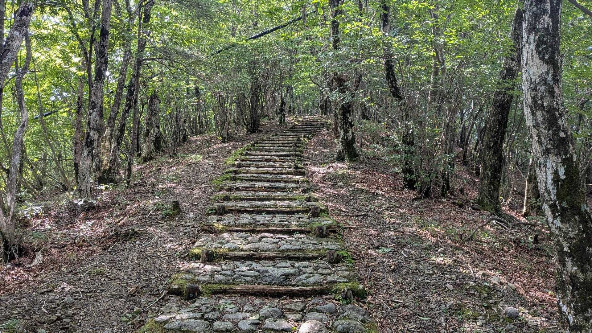 護摩壇山への登りは階段