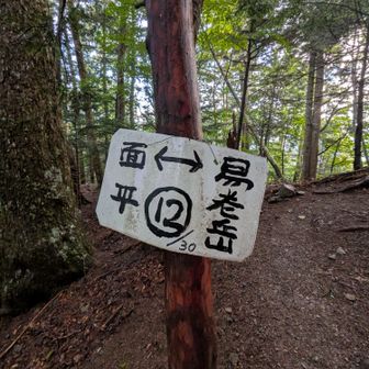 まだ半分未満か・・