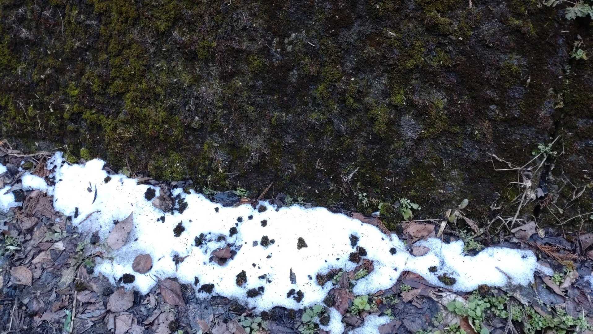 日陰には雪が残っています。