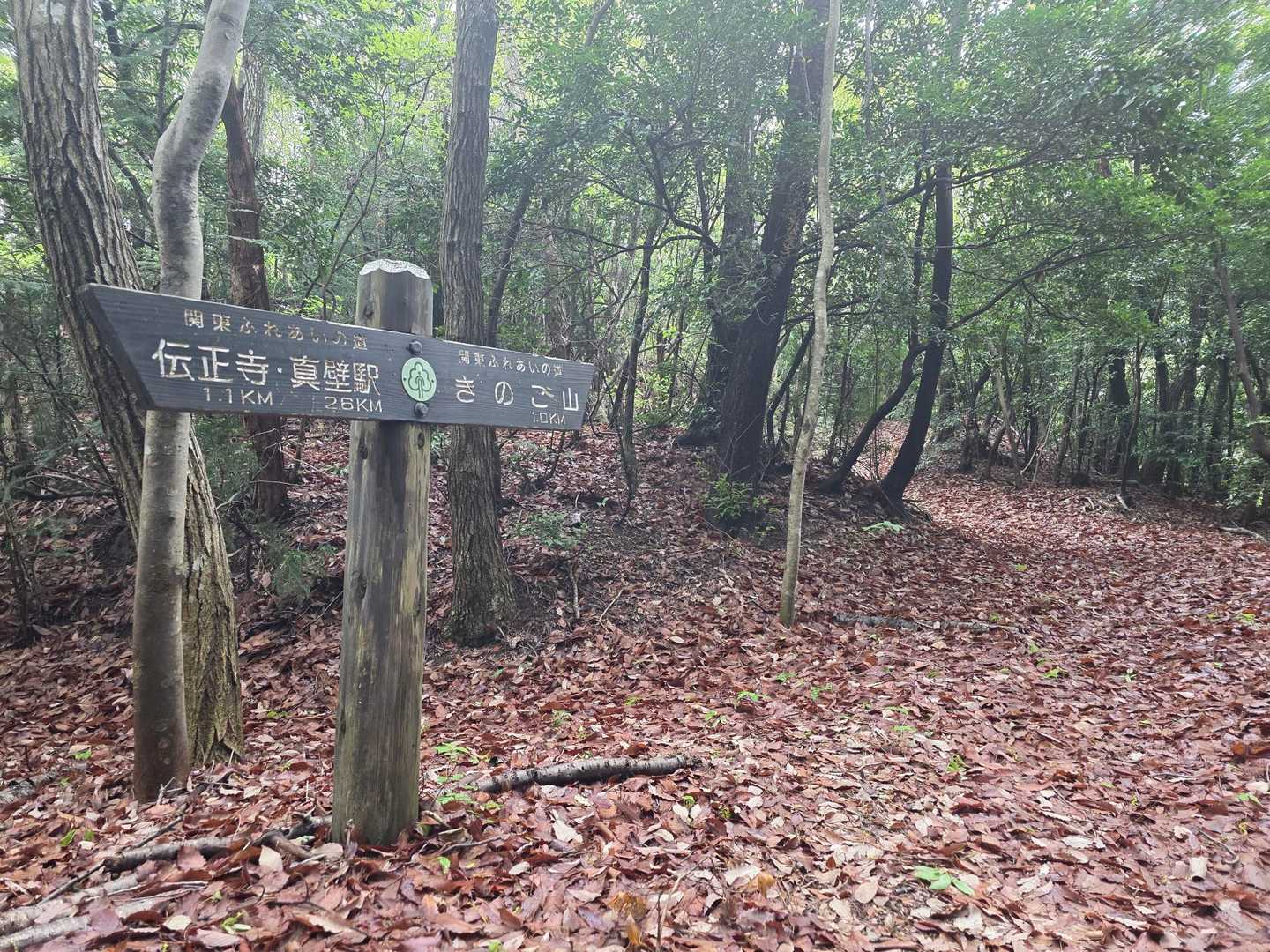 きのこ山-足尾山 周回コースの写真