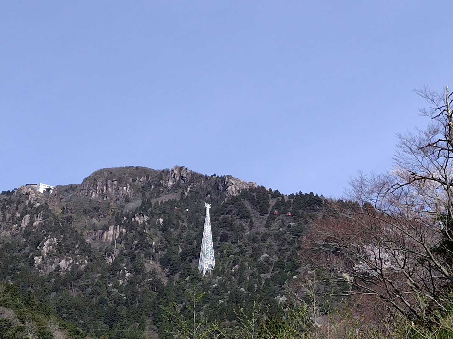 山肌を点々と飾る山桜と辛夷😍