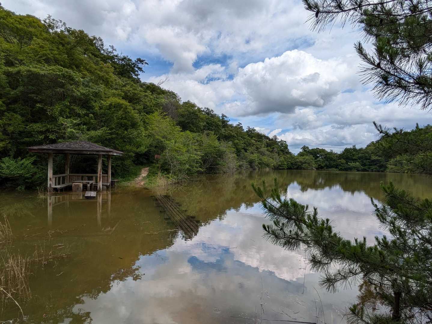 東屋は、相変わらず水没してますが…青空がでて、鳴谷池が素敵でした。
水の少ない時に再訪したいです