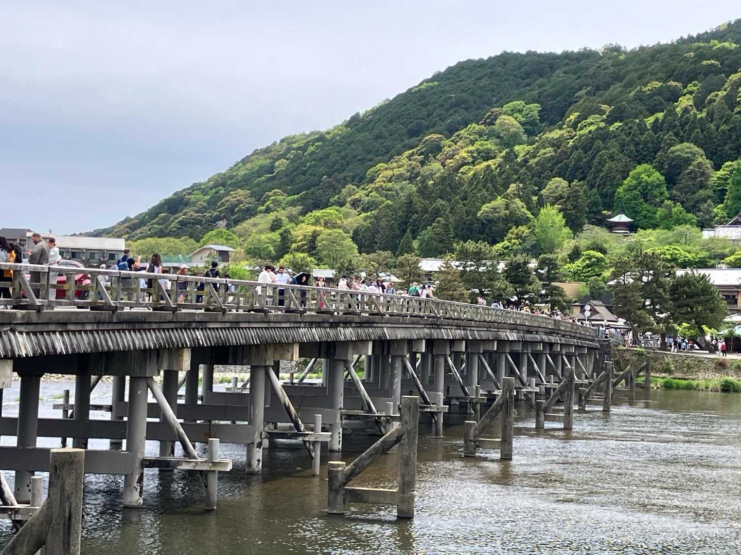 栂ノ尾バス停-白雲橋-福ヶ谷林道登山口-槙ノ尾バス停-愛宕 縦走コースの写真