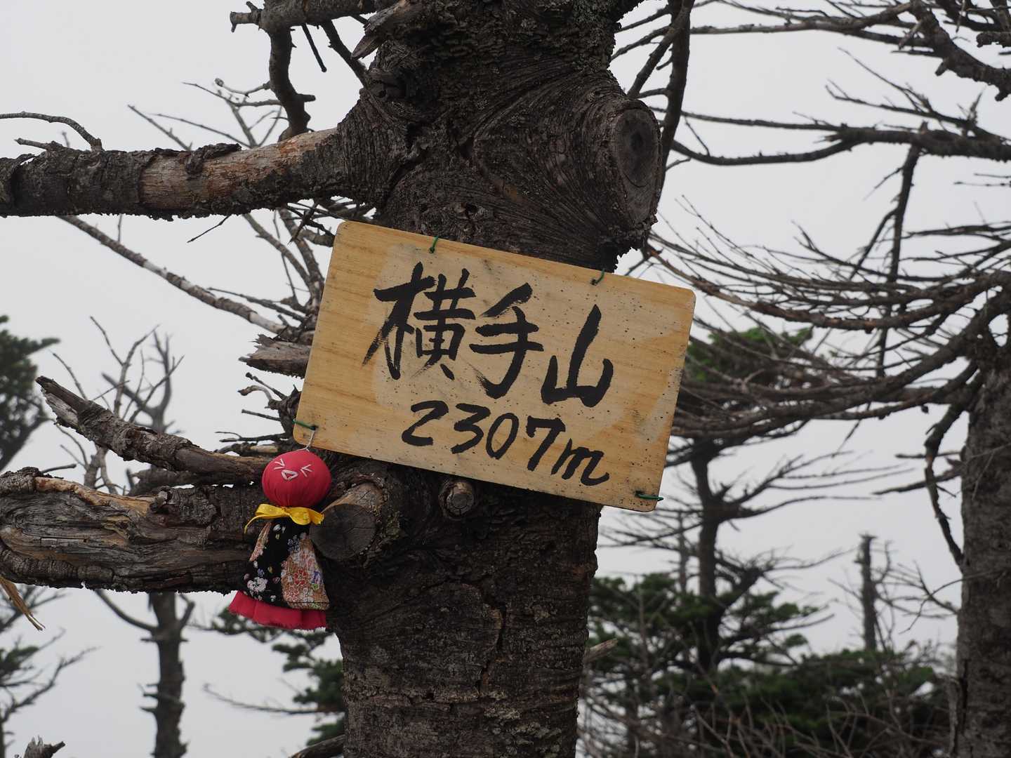 登頂🚩手作りマスコット付き