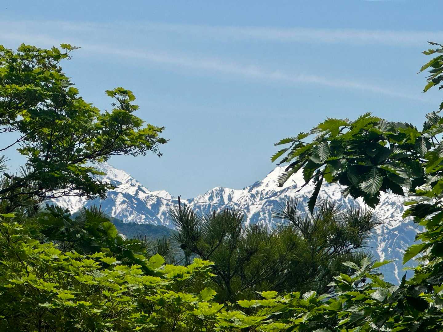 山頂からの景色楽しみです♪