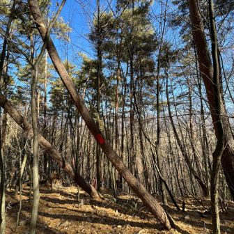 山頂。肉眼だと蓼科山とかがみえる