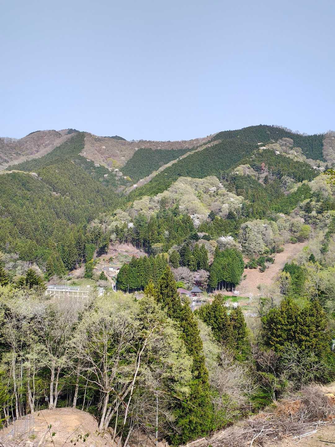 立野峠-倉岳山 往復コースの写真