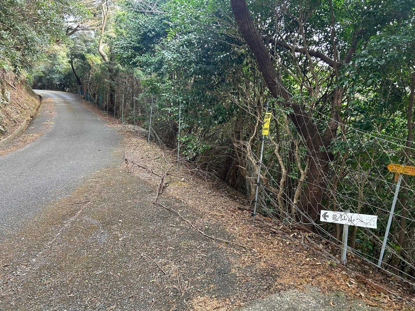まだまだ舗装路