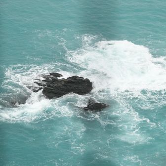 南側海岸
