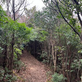 なだらかです♪