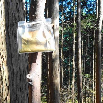 そして東雲山(しののめやま)です。辛うじて読める山名の表示がありました。