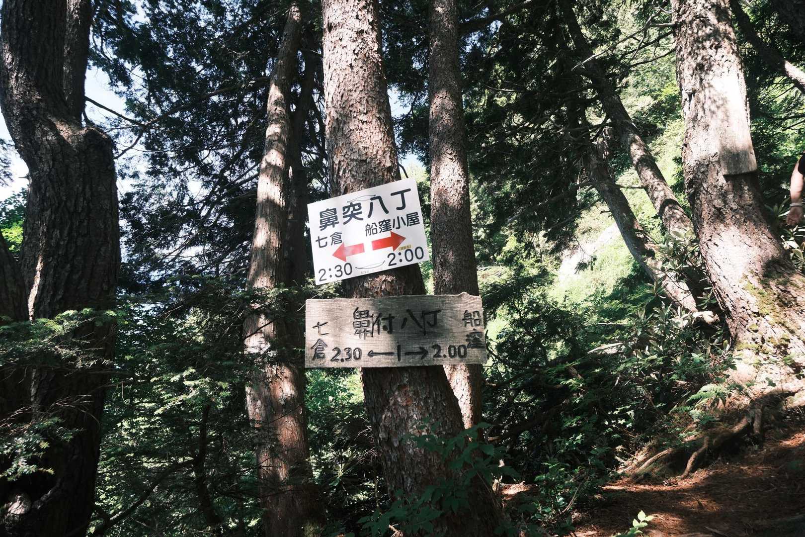 七倉岳 往復コースの写真
