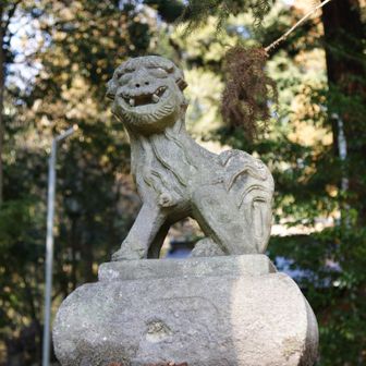 愛嬌のある鹿嶋神社の狛犬