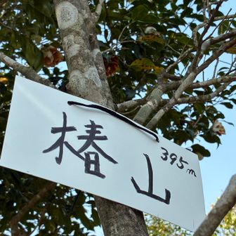 これね、看板新しくなってたのって❗️