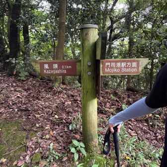 三度目の分岐点
