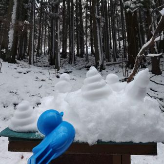 今日はアヒル製造機を持って来たので
山に数羽アヒルいます‼️