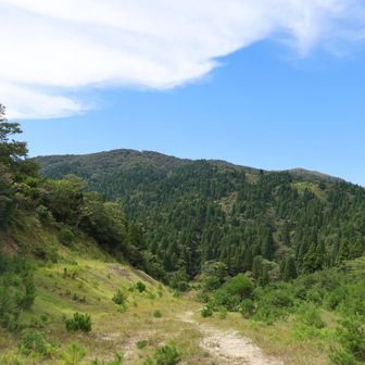 武奈ヶ岳を振り返る