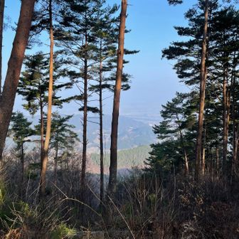 スタート・ゴールの焼き場を眺める