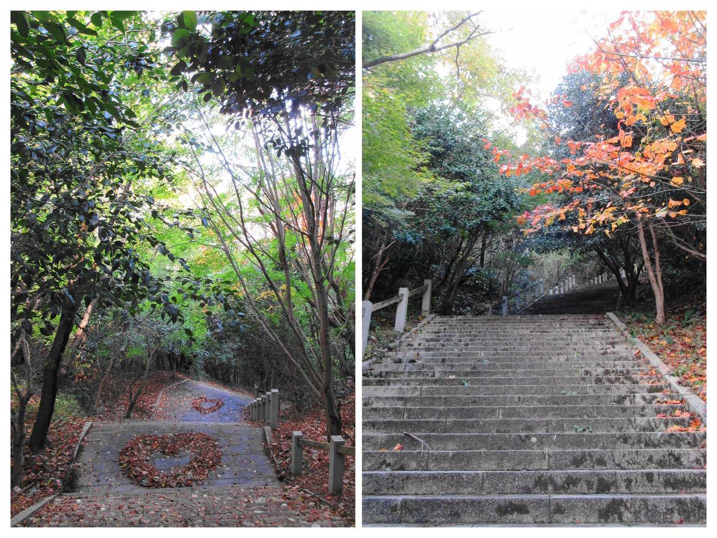 駐車場には・先客4台
石段を🦵
遅まきながら🍂🍁🌿し始め