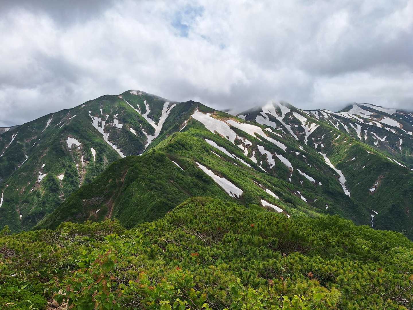 美しいゼブラ大朝日岳🦓⛰️❄🌿