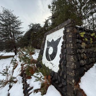 懐かしい！
ピーク取りにうろうろ
この辺りなんだけど何処だっけかなぁ