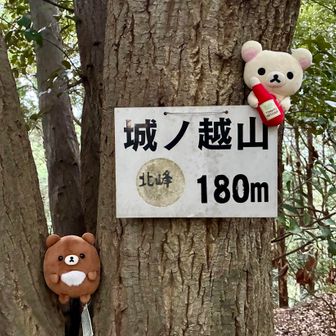 城ノ越山（北峰）…⛰️

地図で見るより遠くて、アップダウンがキツかった…😑